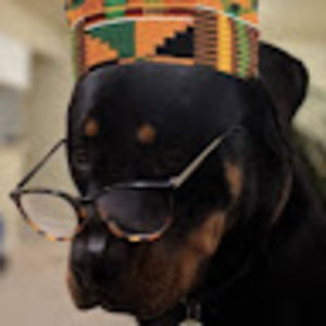 Meet your Posher, Alis